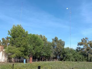 Foto 25 de VENTA DE CAMPO en Partido de Villarino, Provincia de Buenos Aires - APTO CRÌA/RECRÌA - Total 2958 Ha