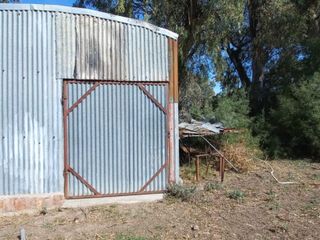 Foto 7 de VENTA DE CAMPO en Partido de Villarino, Provincia de Buenos Aires - APTO CRÌA/RECRÌA - Total 2958 Ha