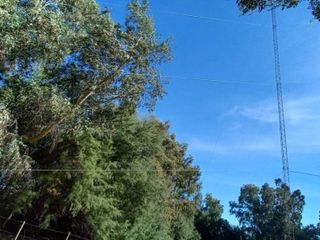 Foto 36 de VENTA DE CAMPO en Partido de Villarino, Provincia de Buenos Aires - APTO CRÌA/RECRÌA - Total 2958 Ha