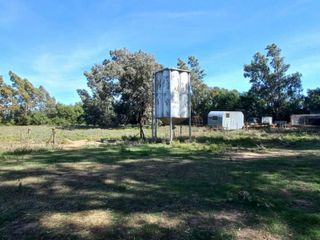 Foto 26 de VENTA DE CAMPO en Partido de Villarino, Provincia de Buenos Aires - APTO CRÌA/RECRÌA - Total 2958 Ha