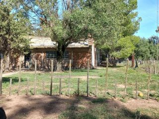 Foto 11 de VENTA DE CAMPO en Partido de Villarino, Provincia de Buenos Aires - APTO CRÌA/RECRÌA - Total 2958 Ha