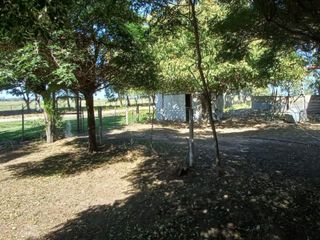 Foto 21 de VENTA DE CAMPO en Partido de Villarino, Provincia de Buenos Aires - APTO CRÌA/RECRÌA - Total 2958 Ha