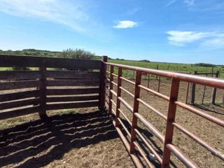 Foto 5 de VENTA DE CAMPO en Partido de Villarino, Provincia de Buenos Aires - APTO CRÌA/RECRÌA - Total 2958 Ha