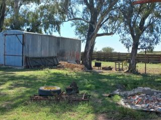 Foto 48 de VENTA DE CAMPO en Partido de Villarino, Provincia de Buenos Aires - APTO CRÌA/RECRÌA - Total 2958 Ha