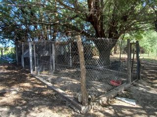 Foto 22 de VENTA DE CAMPO en Partido de Villarino, Provincia de Buenos Aires - APTO CRÌA/RECRÌA - Total 2958 Ha