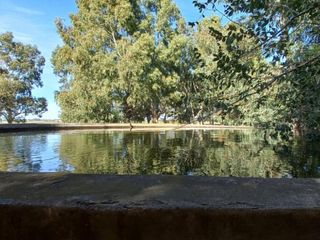 Foto 18 de VENTA DE CAMPO en Partido de Villarino, Provincia de Buenos Aires - APTO CRÌA/RECRÌA - Total 2958 Ha