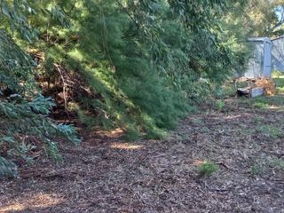 Foto 47 de VENTA DE CAMPO en Partido de Villarino, Provincia de Buenos Aires - APTO CRÌA/RECRÌA - Total 2958 Ha