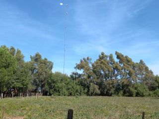Foto 8 de VENTA DE CAMPO en Partido de Villarino, Provincia de Buenos Aires - APTO CRÌA/RECRÌA - Total 2958 Ha