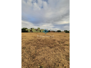 Foto 3 de VENTA-LOTE EN SINSACATE-LISTO PARA CONSTRUIR