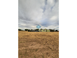 Foto 4 de VENTA-LOTE EN SINSACATE-LISTO PARA CONSTRUIR