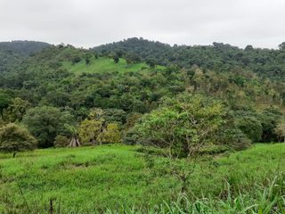 Se Vende Terreno para Desarrollar en Zona Rural, en la Montaña, Frente al Mar y Frente al río en Ayampe