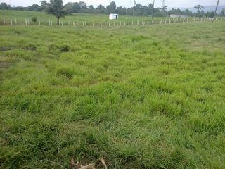 Foto 23 de Venta de Hacienda Via Santo Domingo - Quevedo