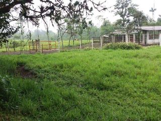 Foto 4 de Venta de 17 hectáreas La Alianza -  via Las Mercedes km 14, $. 340000