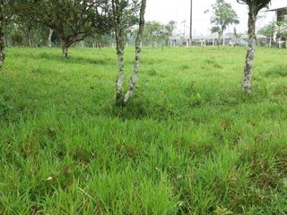 Foto 8 de Venta de 17 hectáreas La Alianza -  via Las Mercedes km 14, $. 340000