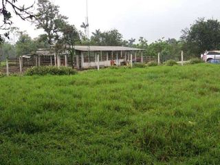 Foto 5 de Venta de 17 hectáreas La Alianza -  via Las Mercedes km 14, $. 340000