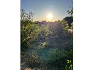 Lote en Costa Esmeralda Senderos IV 428 967 m2 Regular