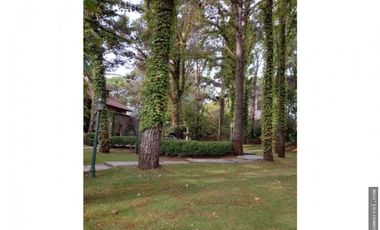 place photo 53