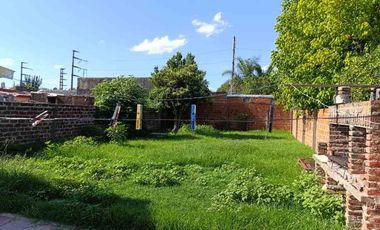place photo 36