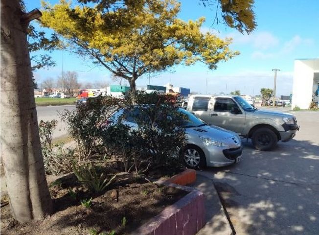 place photo 11