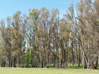 Terreno con IMPORTANTE MEJORAS en Chacras del Paraná - Zarate
