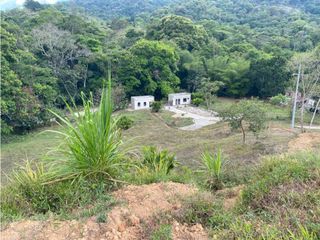Venta de lote con abundante vegetación en Minca-Santa Marta