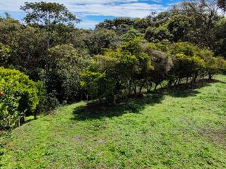 Foto 15 de venta de casa campestre variante Popayán
