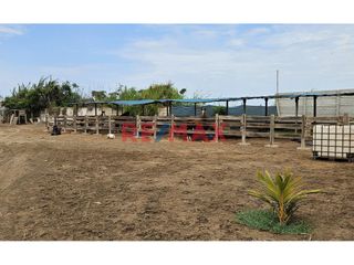Foto 15 de 🌿 ¡Exclusivo Fundo Santa Apolonia en Venta – Moche, Trujillo! 🏡

Vive la experiencia de un refugio natural con modernas comodidades en una de las me
