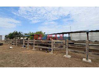 Foto 16 de 🌿 ¡Exclusivo Fundo Santa Apolonia en Venta – Moche, Trujillo! 🏡

Vive la experiencia de un refugio natural con modernas comodidades en una de las me