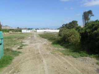 Foto 8 de VENTA DE TERRENO RUSTICO EN TANGAY BAJO NUEVO CHIMBOTE - ANCASH