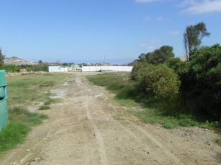 Foto 5 de VENTA DE TERRENO RUSTICO EN TANGAY BAJO NUEVO CHIMBOTE - ANCASH