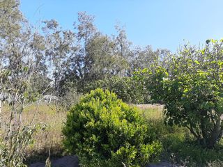 MALCHINGUI, San Juan, linda quinta vacacional de venta, luz y agua