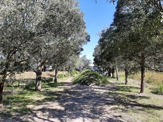 MALCHINGUI, San Juan, linda quinta vacacional de venta, luz y agua