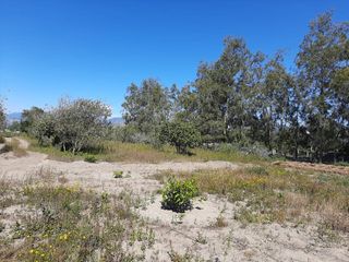 MALCHINGUI, San Juan, linda quinta vacacional de venta, luz y agua