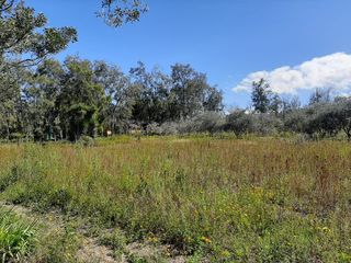 MALCHINGUI, San Juan, linda quinta vacacional de venta, luz y agua