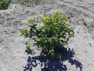 MALCHINGUI, San Juan, linda quinta vacacional de venta, luz y agua