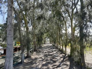 MALCHINGUI, San Juan, linda quinta vacacional de venta, luz y agua