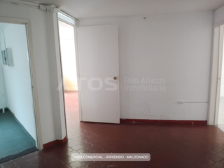 Foto 21 de comercial (casa para comercio) en arriendo en maldonado. Cod A5543