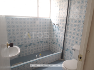 Foto 8 de comercial (casa para comercio) en arriendo en maldonado. Cod A5543