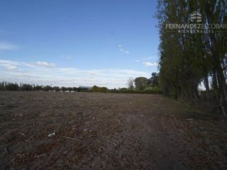 Foto 27 de FERNANDEZ POEPPEL Vende Terreno 7,5 Ha Coquimbito Maipu