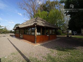 Foto 3 de FERNANDEZ POEPPEL Vende Terreno 7,5 Ha Coquimbito Maipu