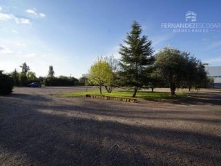 Foto 24 de FERNANDEZ POEPPEL Vende Terreno 7,5 Ha Coquimbito Maipu