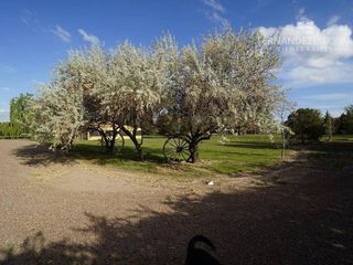 Foto 28 de FERNANDEZ POEPPEL Vende Terreno 7,5 Ha Coquimbito Maipu