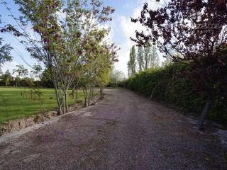 Foto 16 de FERNANDEZ POEPPEL Vende Terreno 7,5 Ha Coquimbito Maipu