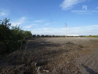 Foto 5 de FERNANDEZ POEPPEL Vende Terreno 7,5 Ha Coquimbito Maipu