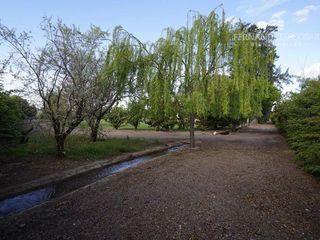 Foto 23 de FERNANDEZ POEPPEL Vende Terreno 7,5 Ha Coquimbito Maipu