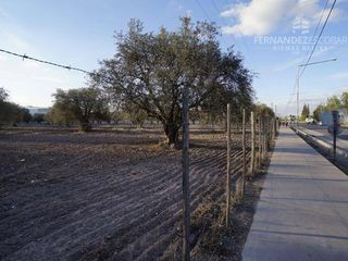 Foto 20 de FERNANDEZ POEPPEL Vende Terreno 7,5 Ha Coquimbito Maipu