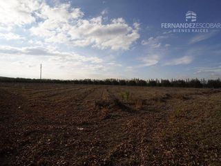 Foto 4 de FERNANDEZ POEPPEL Vende Terreno 7,5 Ha Coquimbito Maipu