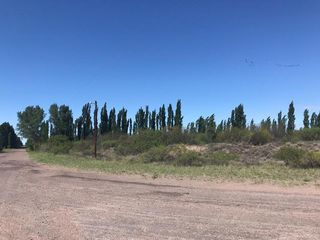 Foto 1 de Campo - Bowen