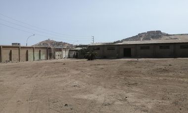 place photo 13