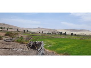 Foto 9 de VENTA TERRENO AGRÍCOLA EN LA ENSENADA - MEJA